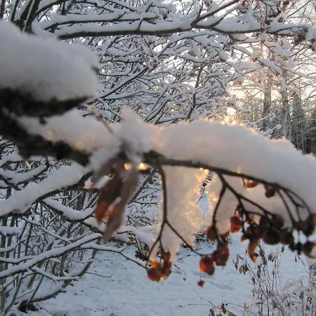 Kuusijarvi *